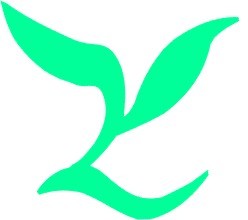 本公司专业激光加工有机玻璃,电子材料,服装辅料切割镂空,皮革,无尘布,无纺布,广告牌,双色板,有机展示架,水晶字,竹,木工艺品激光雕刻切割,工厂,厂商-深圳市中艺激光加工厂